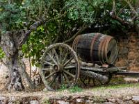Altertümlicher Karren mit Fass unter Olivenbaum - Castelo Rodrigo